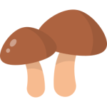 Champignons